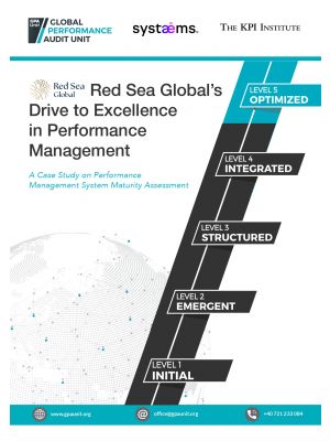 A Case Study on Performance Management System Maturity Assessment